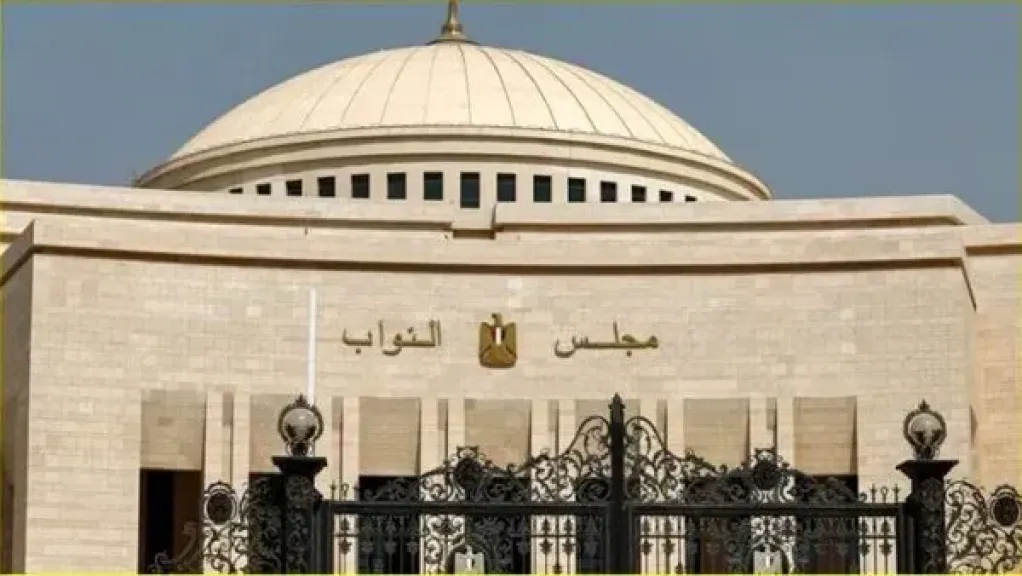 التصويت بانتخابات مجلس النواب