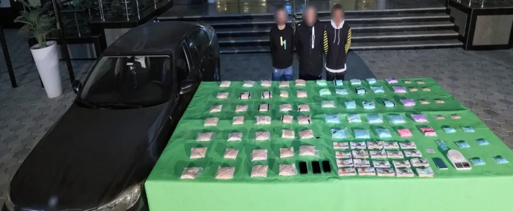 ضبط عناصر شديدة الخطورة 