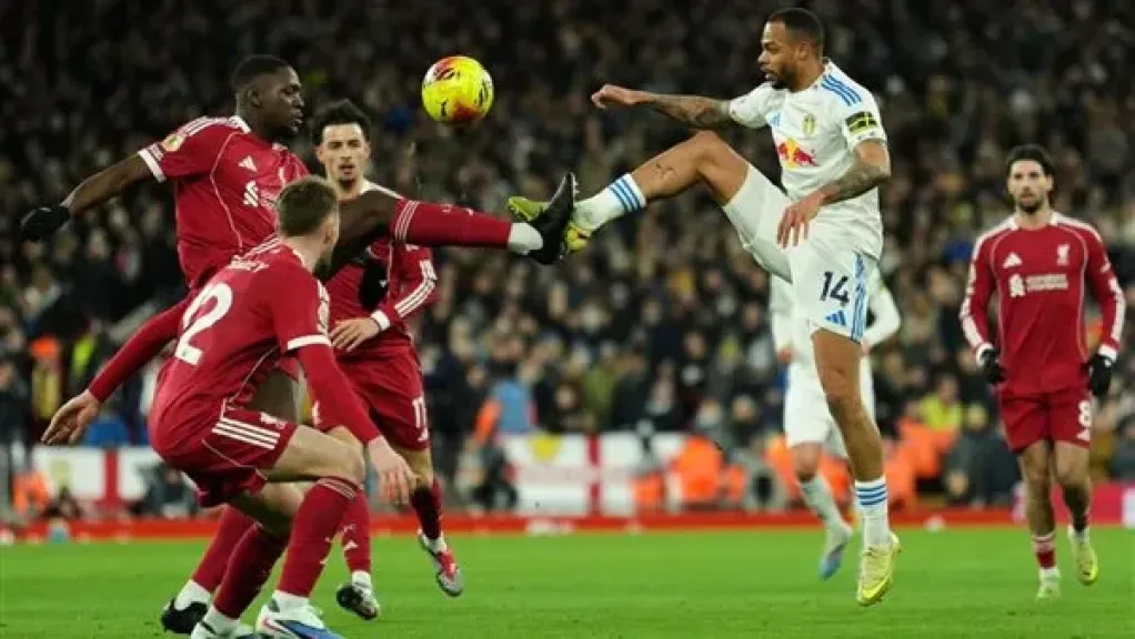 قمة البريميرليج