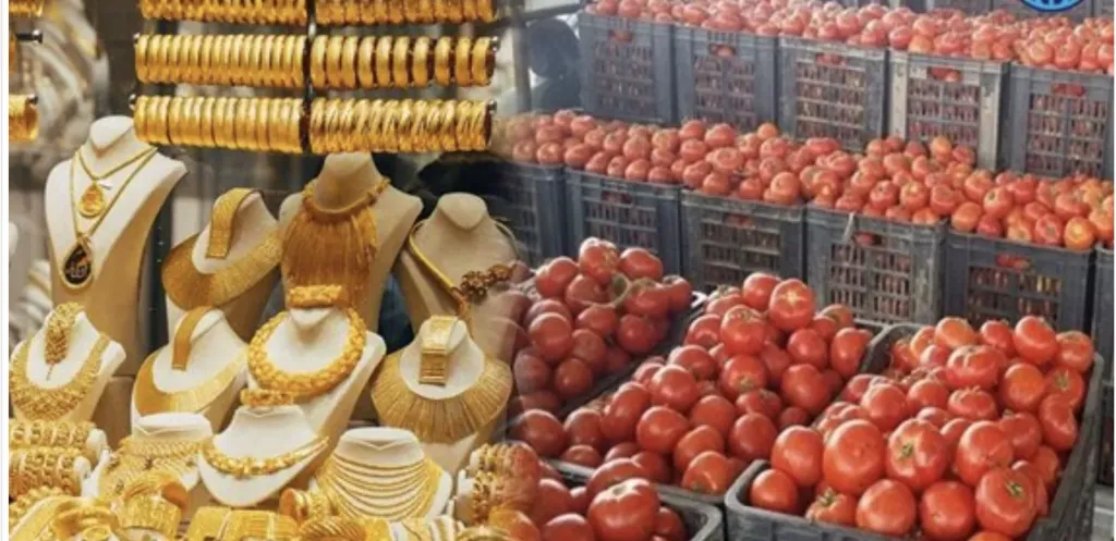 المعدن الأصفر يناطح الطماطم