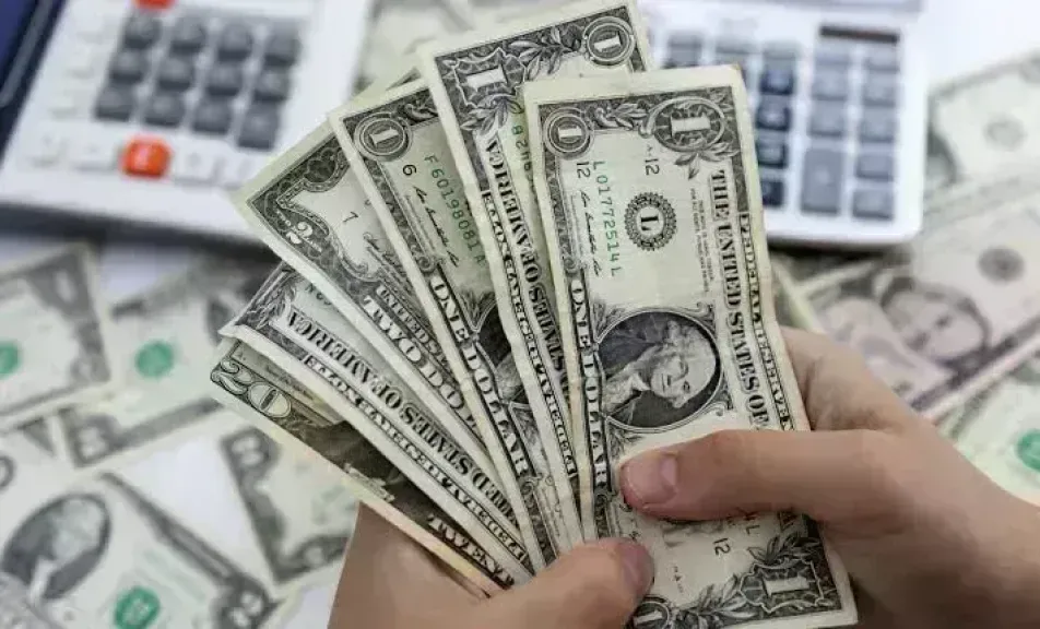 سعر الدولار اليومي