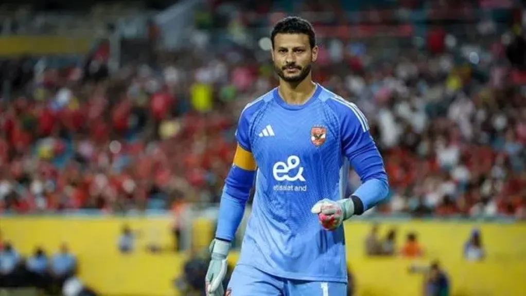 محمد الشناوي 