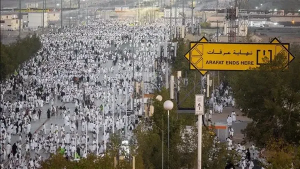 تصعيد الحجاج المصريين لعرفات