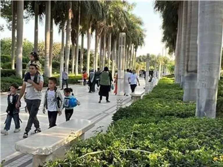 حديقة الأزهر 