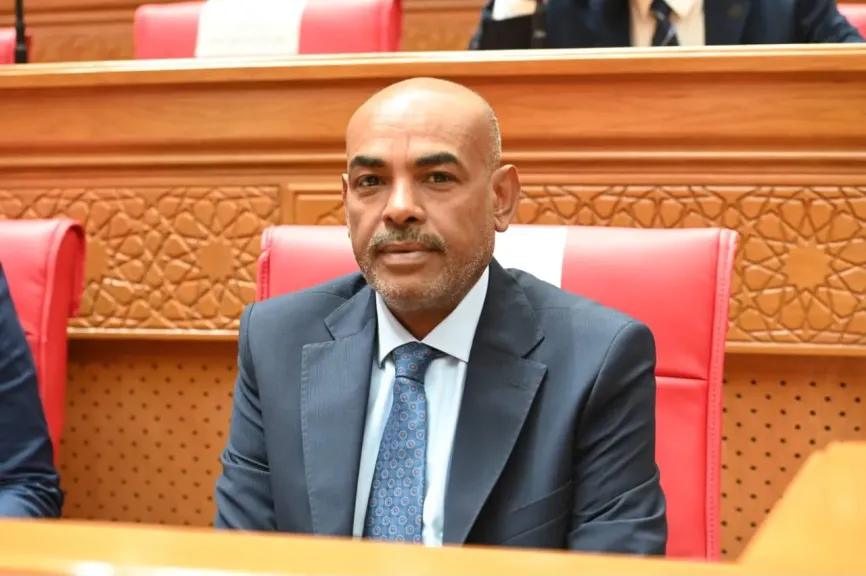 النائب محمد ابوالخير 