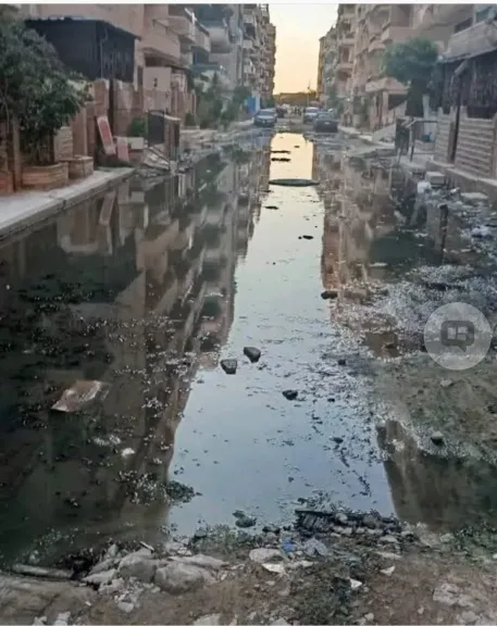 جانب من التطهير