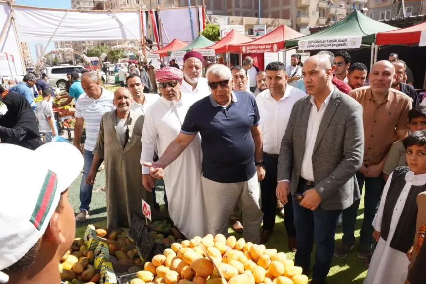 محافظ مطروح