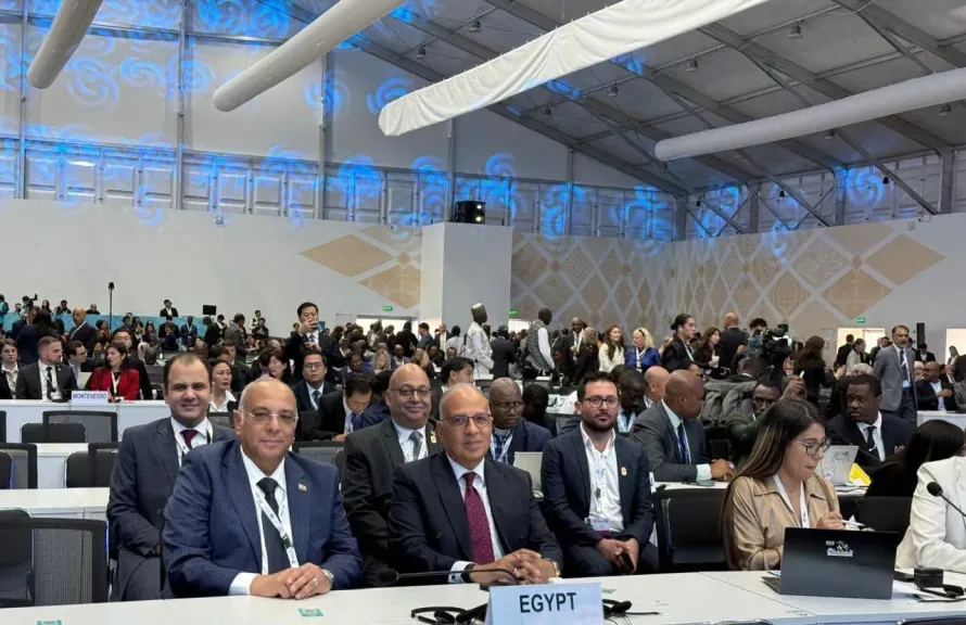 جانب من المؤتمر