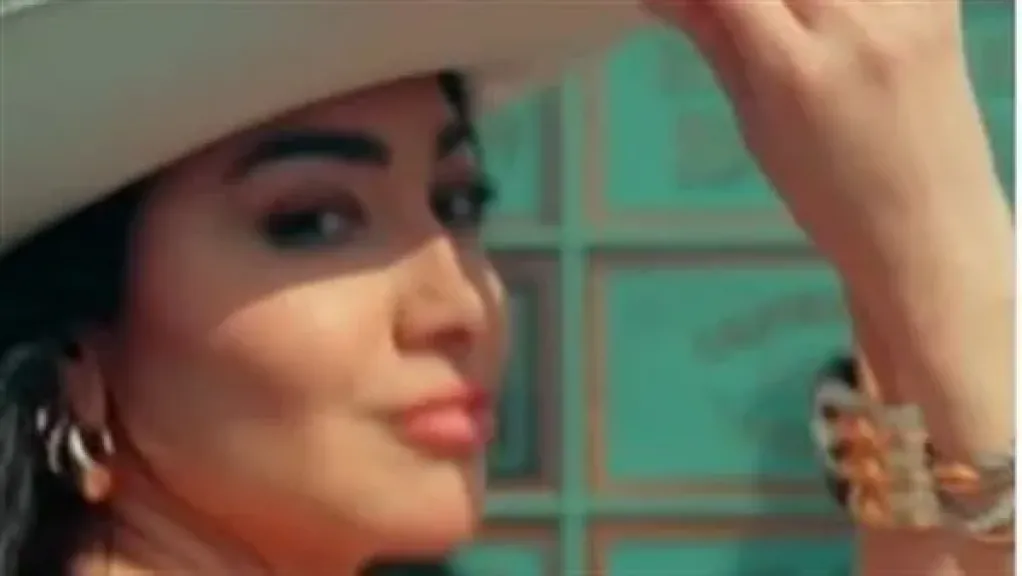 ميرهان حسين 