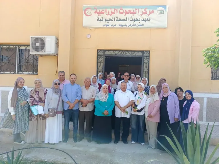 فرع المهد باسيوط