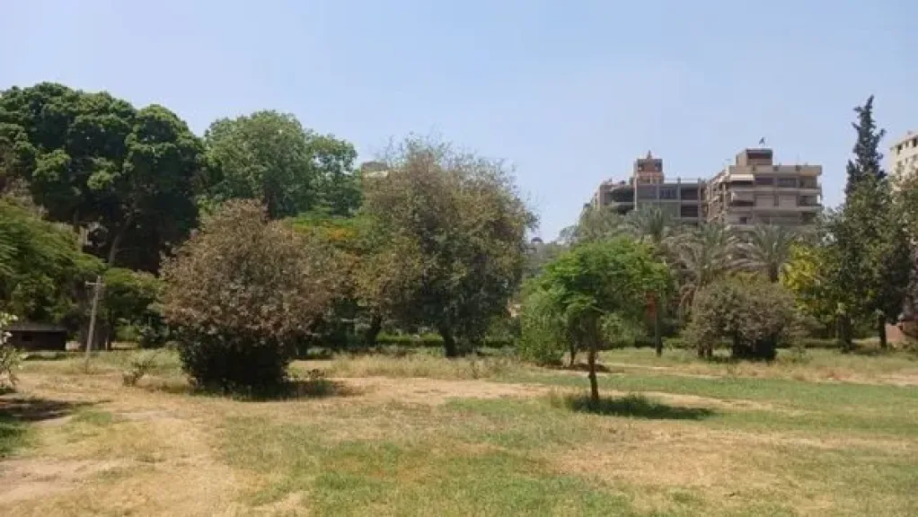 منع قطع الأشجار