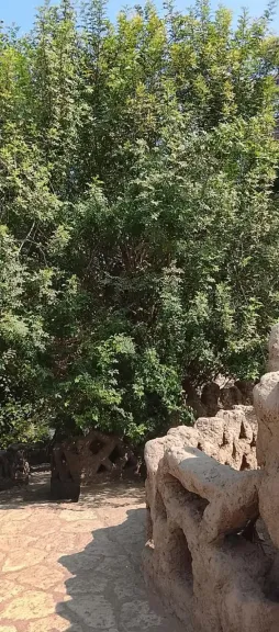حديقة الاسماك