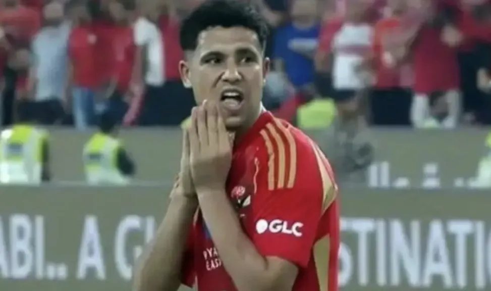 رضا سليم