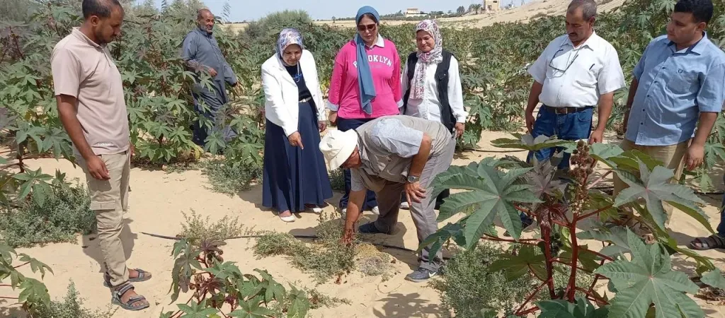 جانب من المتابعة
