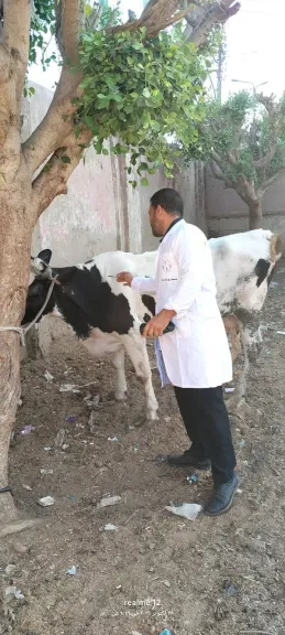 جانب من الحملة
